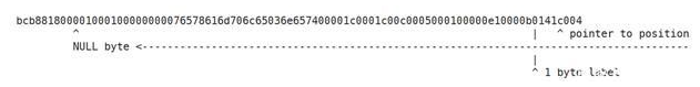 Nginx 高危漏洞CVE-2021-23017 分析