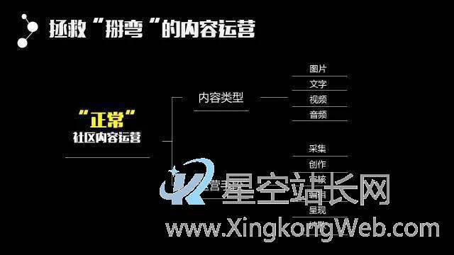 互联网公司线路概况:产品、运营、技术、市场等......