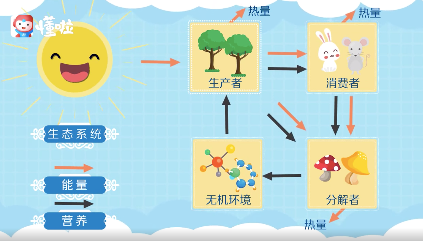 鸟哥笔记,广告营销,慢递先森,营销,策略 私域流量背景下,如何构建产品运营生态闭环?