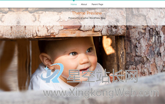 免费WordPress主题，收集整理的100款免费WP主题