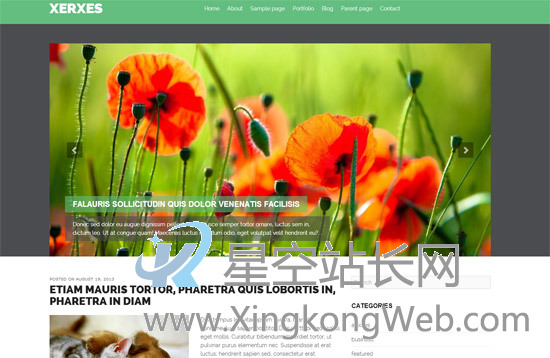 免费WordPress主题，收集整理的100款免费WP主题