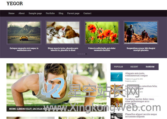 免费WordPress主题，收集整理的100款免费WP主题