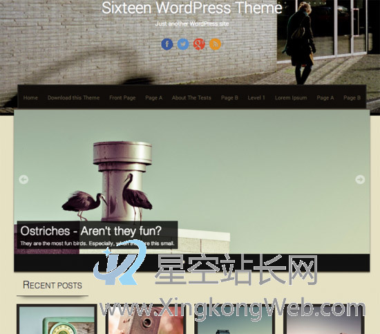 免费WordPress主题，收集整理的100款免费WP主题