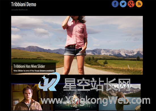 免费WordPress主题，收集整理的100款免费WP主题