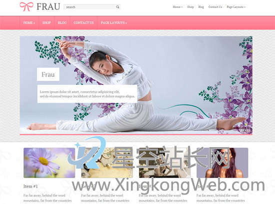 免费WordPress主题，收集整理的100款免费WP主题