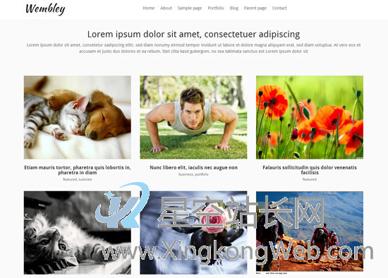 免费WordPress主题，收集整理的100款免费WP主题