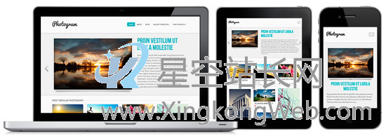 免费WordPress主题，收集整理的100款免费WP主题