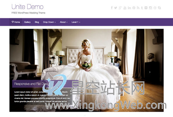 免费WordPress主题，收集整理的100款免费WP主题