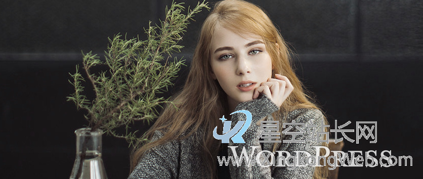 删除WordPress文章修订版本