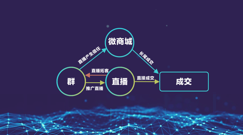 不同的私域流量,运营体系如何设计?
