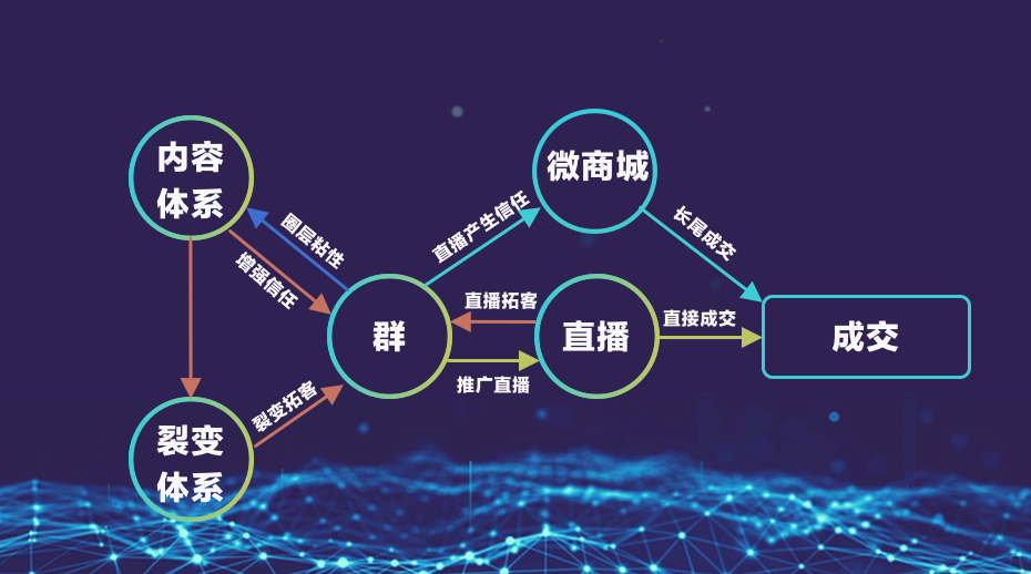 不同的私域流量,运营体系如何设计?