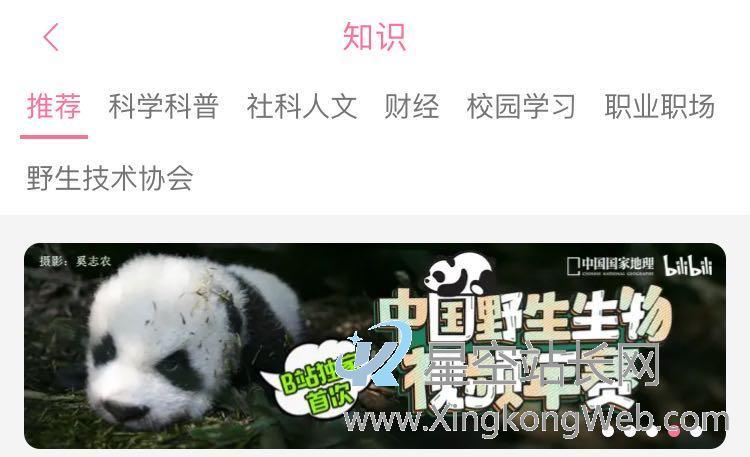 知识视频围剿战,B站凭什么胜出?