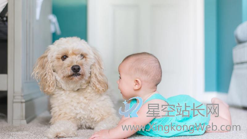 网易严选的文案,真棒