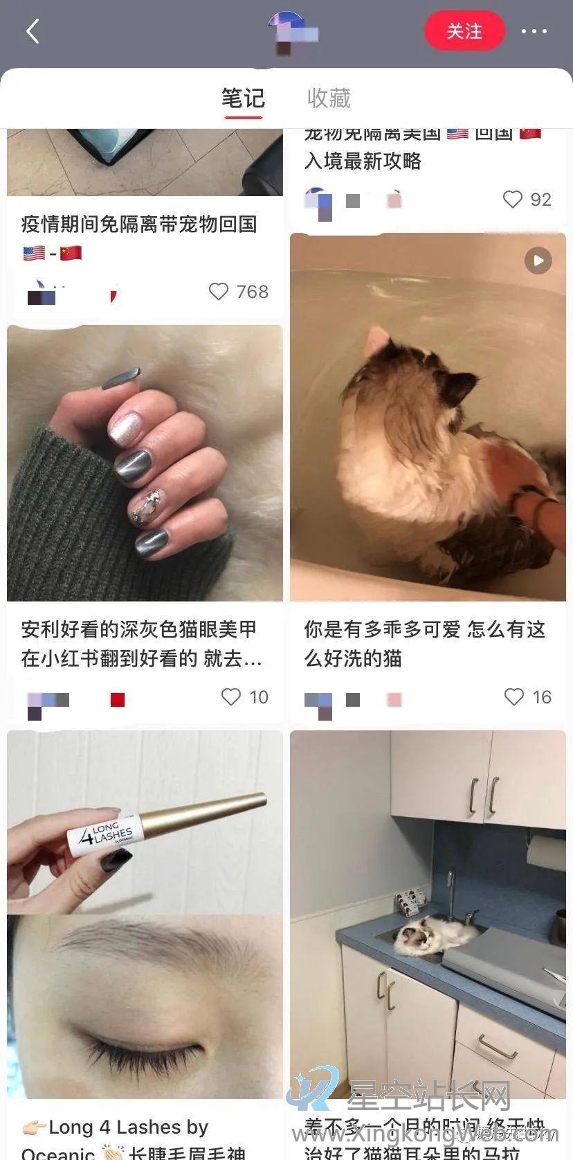 小红书运营技巧:如何一个月小红书涨粉过万