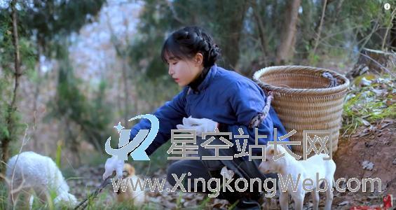 创作者为什么都要布局视频号？视频号运营全攻略