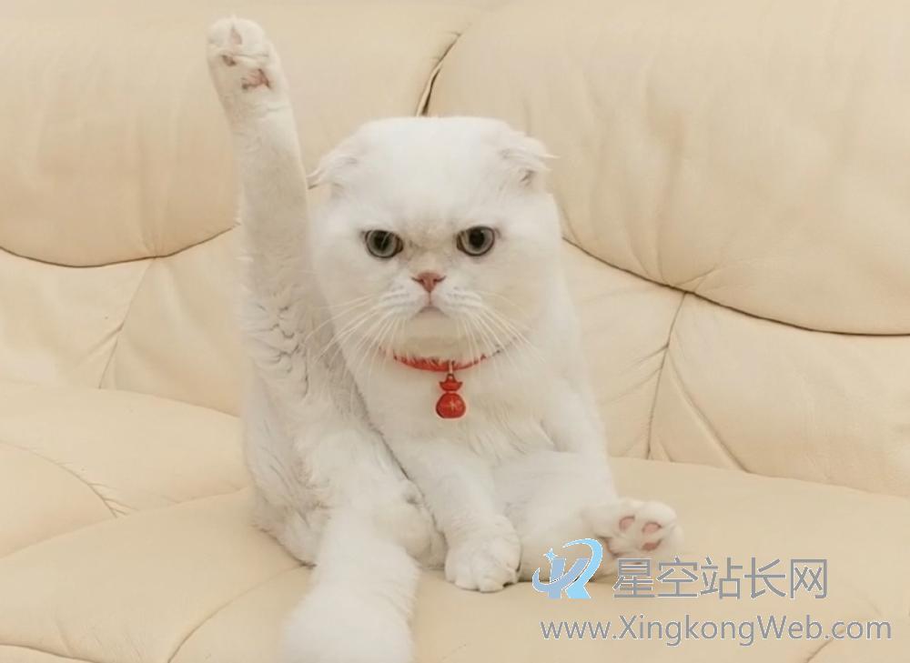 短视频内容从不上热门？爆款脚本如何设计才能吸引人