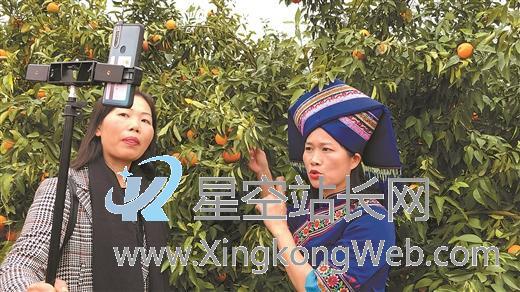 新手直播带货需要注意哪些问题？（直播必备技巧）