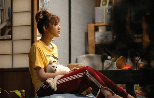 “孤独经济”,靠年轻人的孤独感发财