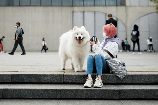 “孤独经济”,靠年轻人的孤独感发财