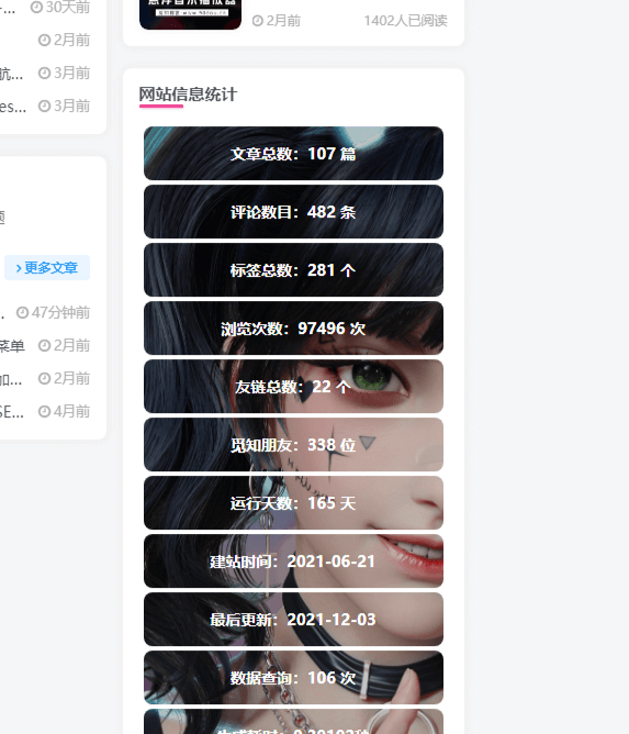 wordpress给网站侧边栏添加一个网站信息统计小工具