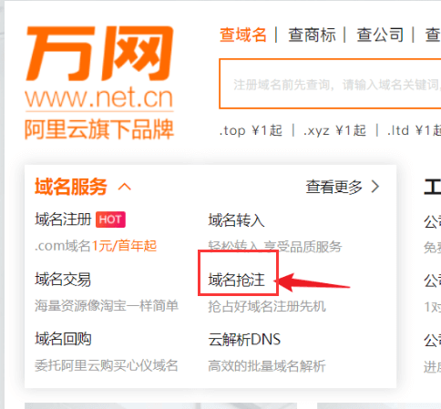 如何查看阿里云万网域名抢注预定的人数?