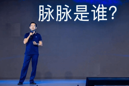 脉脉困在林凡造的概念里