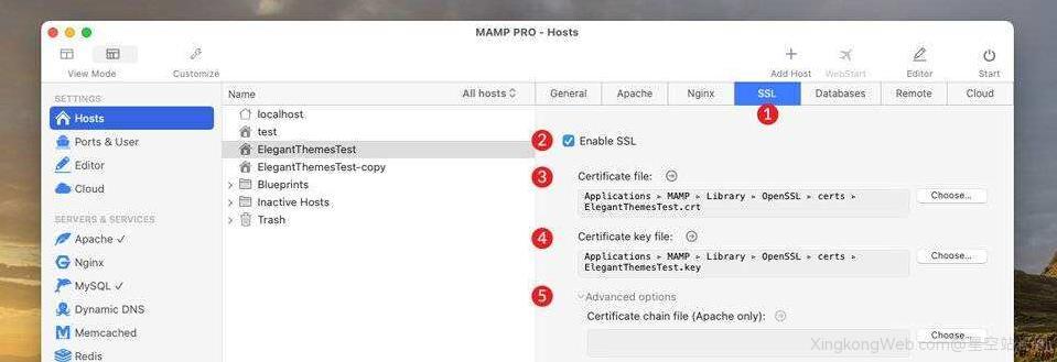 面向WordPress用户的MAMP Pro终极指南插图32 面向WordPress用户的MAMP Pro终极指南