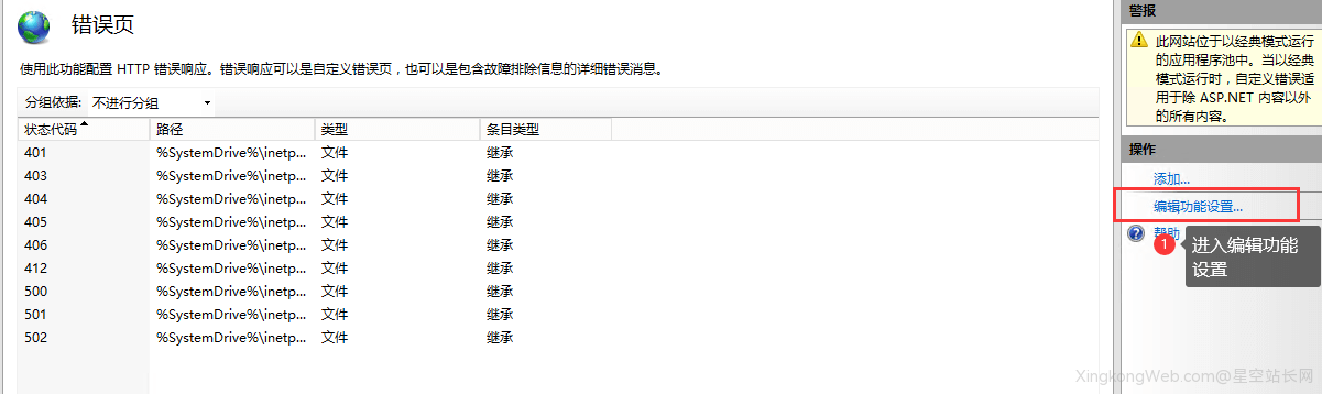 Windows Server .NET程序出现500错误，如何查看错误详细