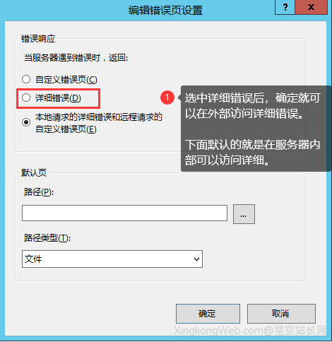 Windows Server .NET程序出现500错误，如何查看错误详细