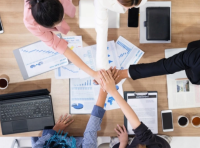 决定将新闻资讯的文章全部删除