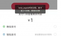 DiscuzQ国外服务器微信支付time_expire时间过短解决办法