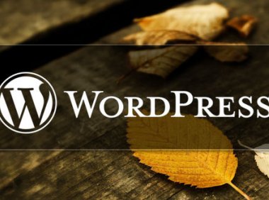 在WordPress首页添加一个前台登录表单