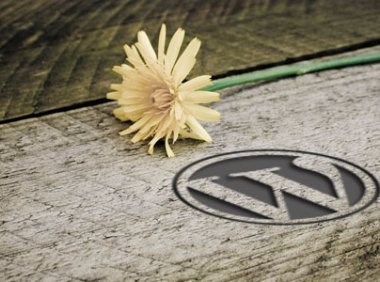 WordPress的数据库表、字段、类型及说明