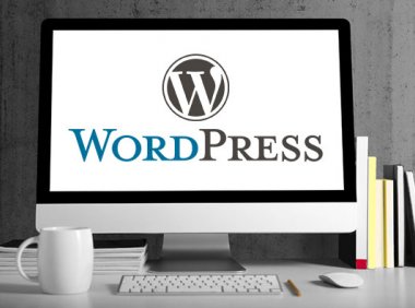 删除wordpress13个标签,让WP博客提速