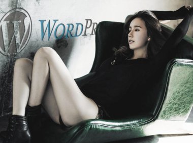 利用WordPress更新服务来加快搜索引擎收录