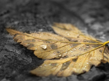 WordPress 修改后台地址后,无法登录网站解决办法