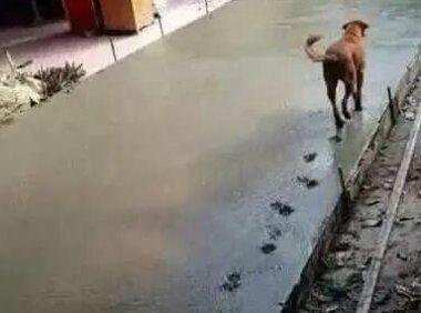 增长黑客实战五步曲