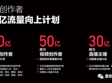 一份最新的小红书账号定位参考指南