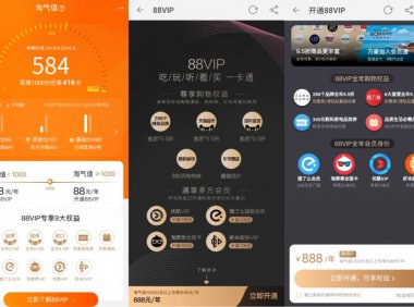 如何快速搭建会员体系