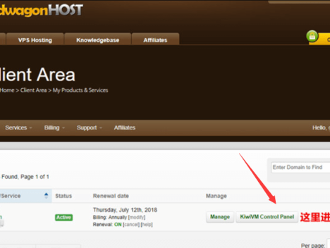 Bandwagonhost VPS管理面板KIWIVM中文功能解释